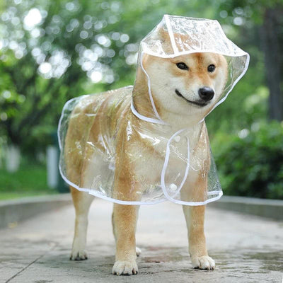 Impermeable transparente para perros